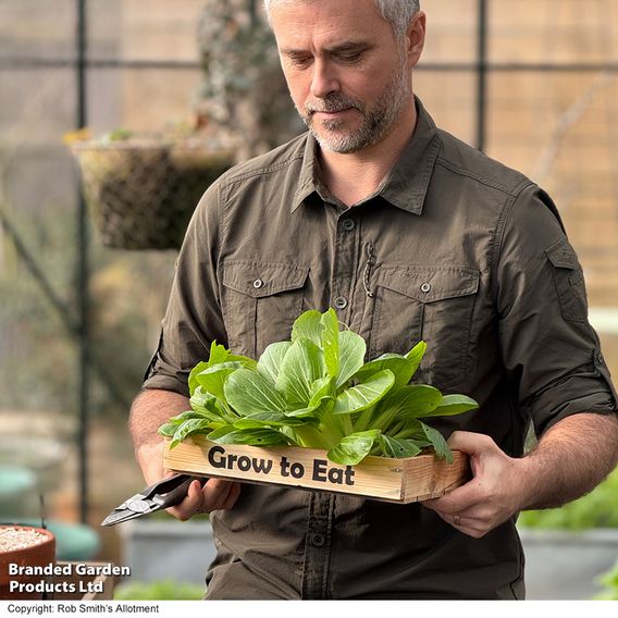 Pak Choi 'Goku' F1 - Seeds