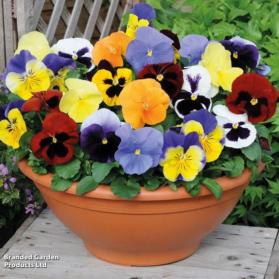 Winter Bedding Super Saver Collection