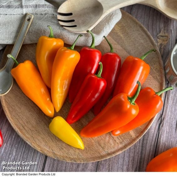 Pepper 'Super Snack' Collection
