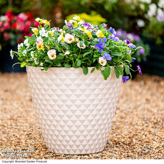 Garden Gear - Slate Ivory Diamond Planter
