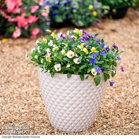 Garden Gear - Slate Ivory Diamond Planter