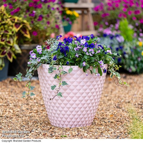 Garden Gear - Powder Pink Diamond Planter