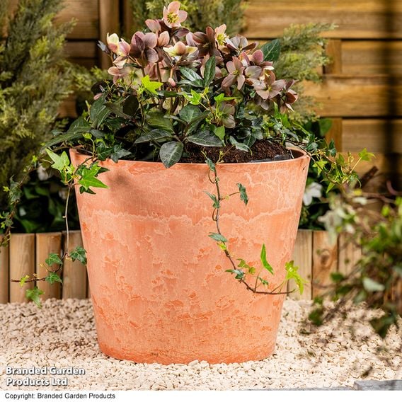 Garden Gear - Caesar Marble Effect Terracotta Planters