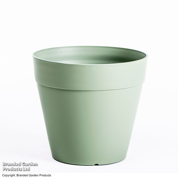 Garden Gear - Lucena Laurel Matte Green Planter