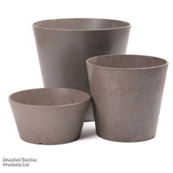 Octavia Oak Garden Planters