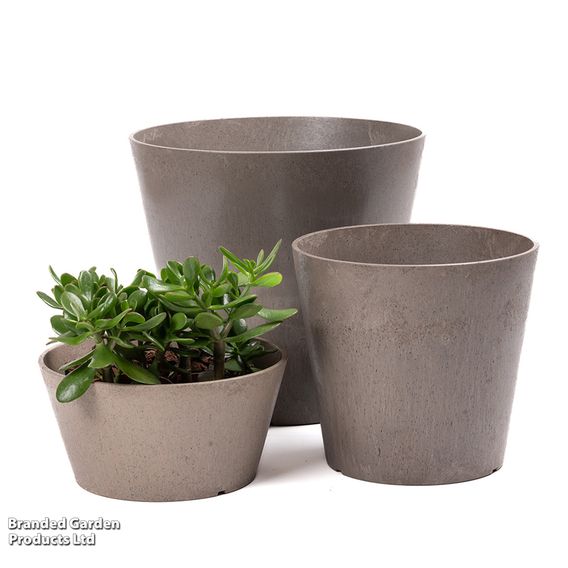 Octavia Oak Garden Planters