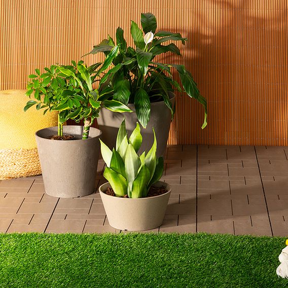 Octavia Oak Garden Planters