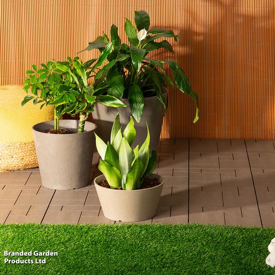 Octavia Oak Garden Planters