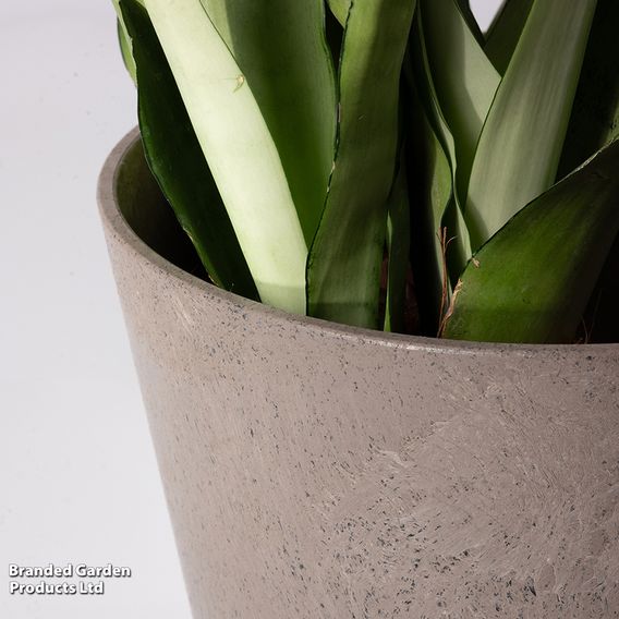 Octavia Oak Garden Planters