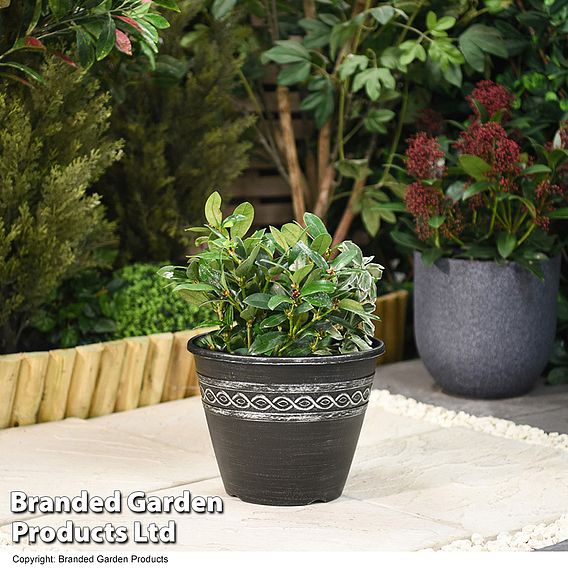 Roman-Greco Design Planter