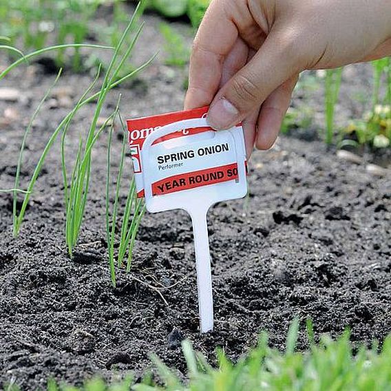 Garden Gear - Plastic T Label