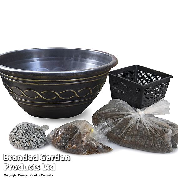 Waterlily Tricolour + Pond Basket + Black and Gold Bowl