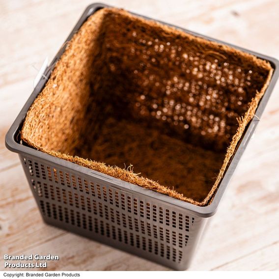 Square Pond Basket Kit