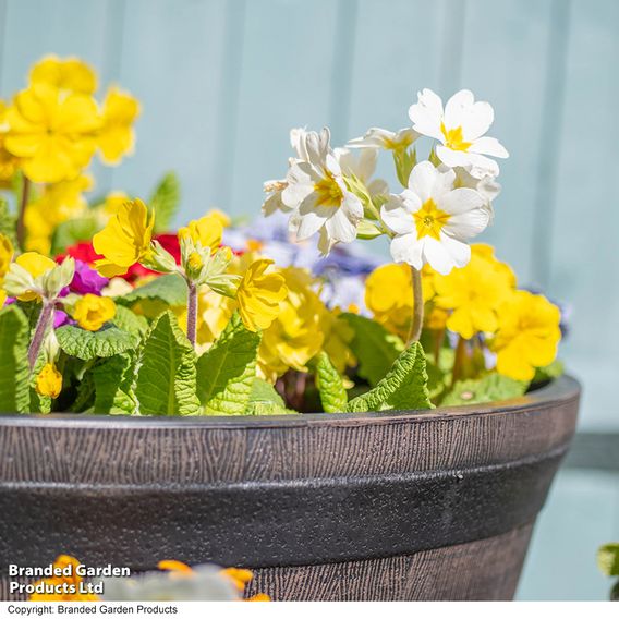 Garden Gear - Wooden Barrel Effect Planter Collection