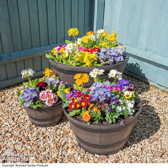 Garden Gear - Wooden Barrel Effect Planter Collection