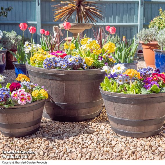 Garden Gear - Wooden Barrel Effect Planter Collection