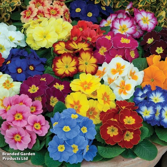 Winter Bedding Super Saver Collection
