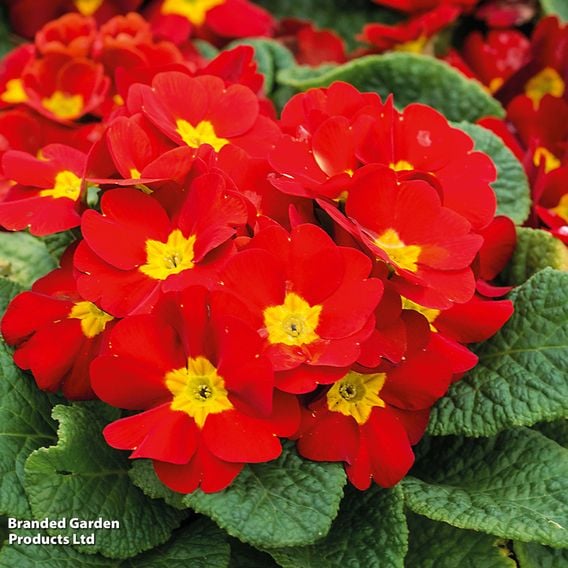 Winter Bedding Super Saver Collection