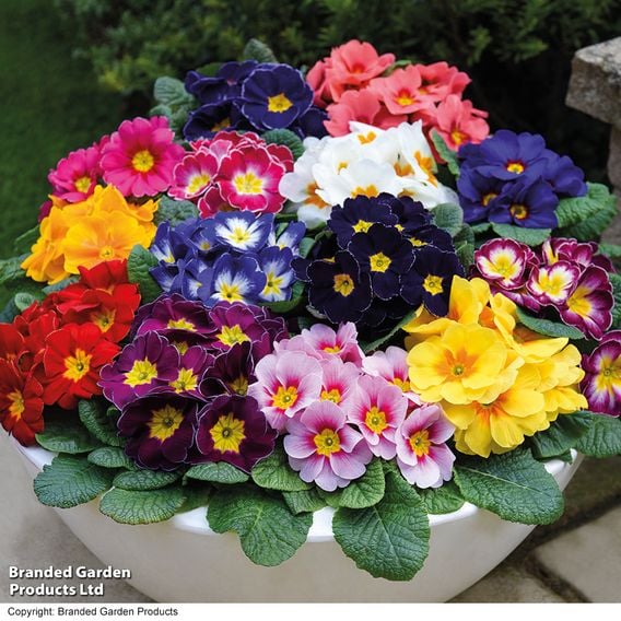 Winter Bedding Super Saver Collection