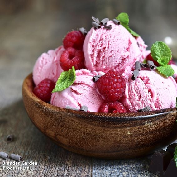 Raspberry Growers Choice