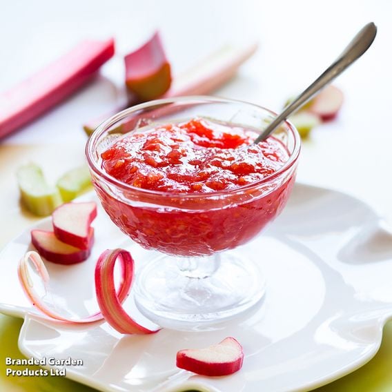 Rhubarb Growers Choice