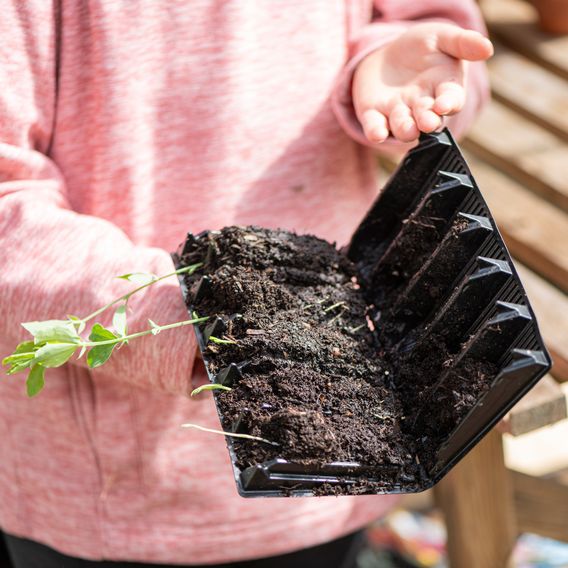 Garden Gear - 5 Cell Deep Root Trainer