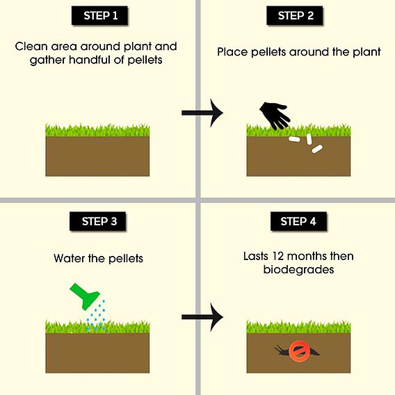 'Slug Gone' Pellets