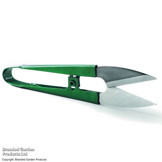Garden Snips