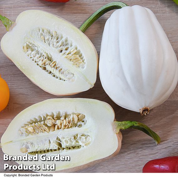 Squash 'Mashed Potatoes' - Seeds