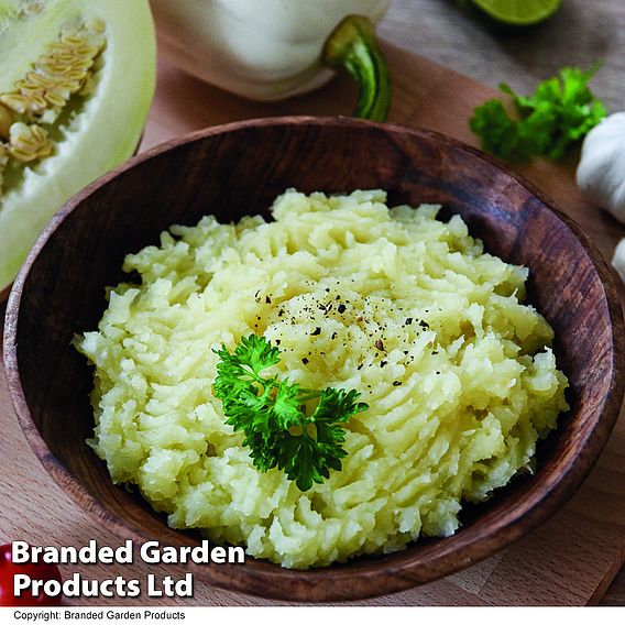 Squash 'Mashed Potatoes' - Seeds