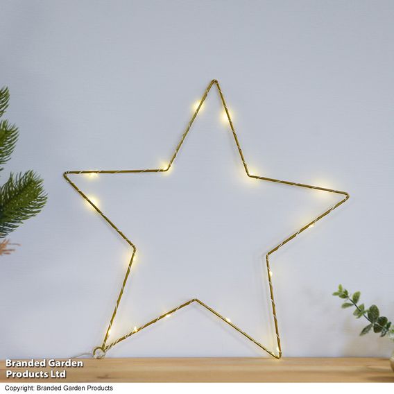 LED Star Decoration