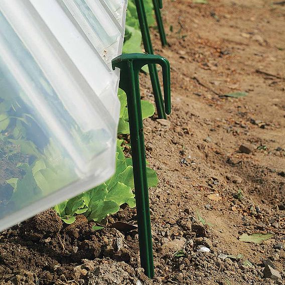 Garden Gear - Pegs for Forcing Tunnels