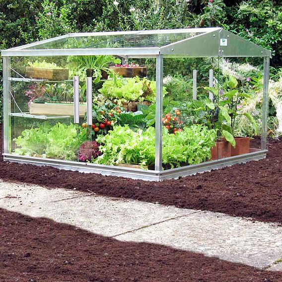 Cold Frame