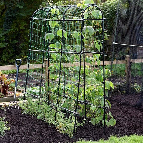 Garden Gear Pea & Bean Tunnel 1.8 x 1.8m