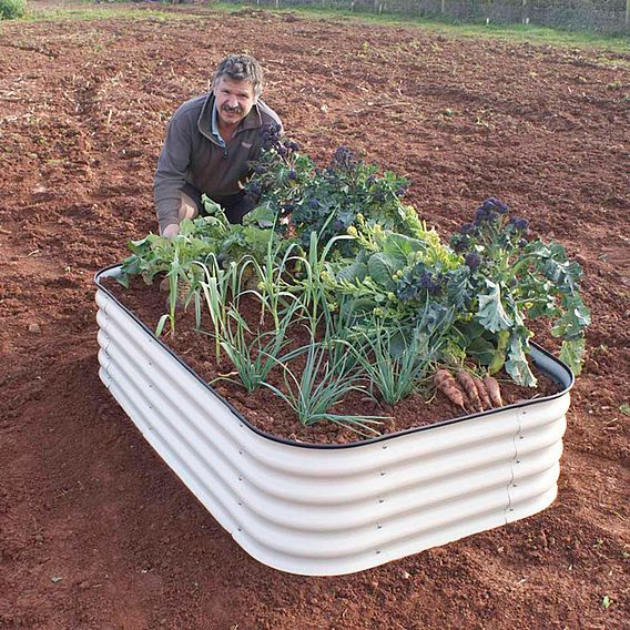 Original Veggie Bed