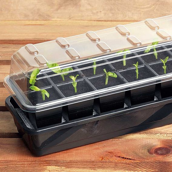 Self-watering Seed Success Kits