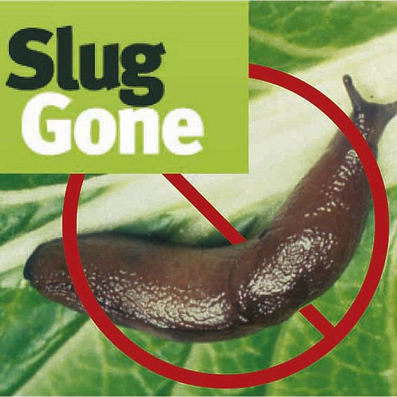 'Slug Gone' Pellets