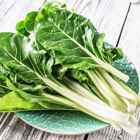 Swiss Chard 'Fordhook Giant' - Organic Seeds