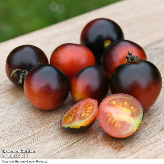Tomato 'Akoya' F1 - Seeds