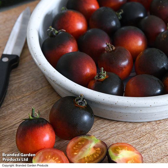 Tomato 'Akoya' F1 - Seeds