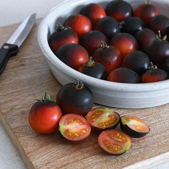 Tomato 'Akoya' F1 - Seeds