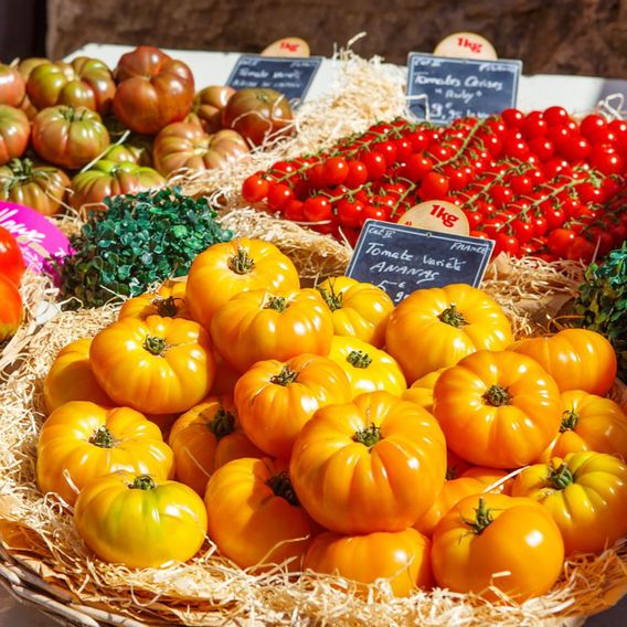 Tomato 'Pineapple' - Seeds