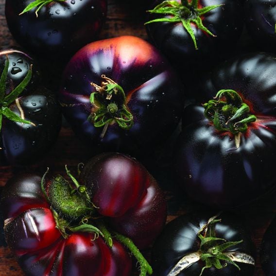 Tomato 'Blue Beauty' - Seeds