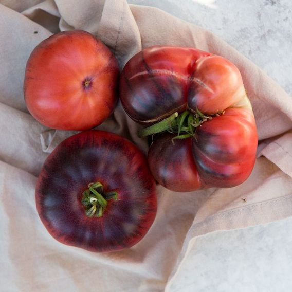 Tomato 'Blue Beauty' - Seeds