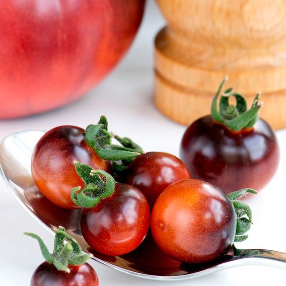 Tomato 'Blue Berries' - Seeds