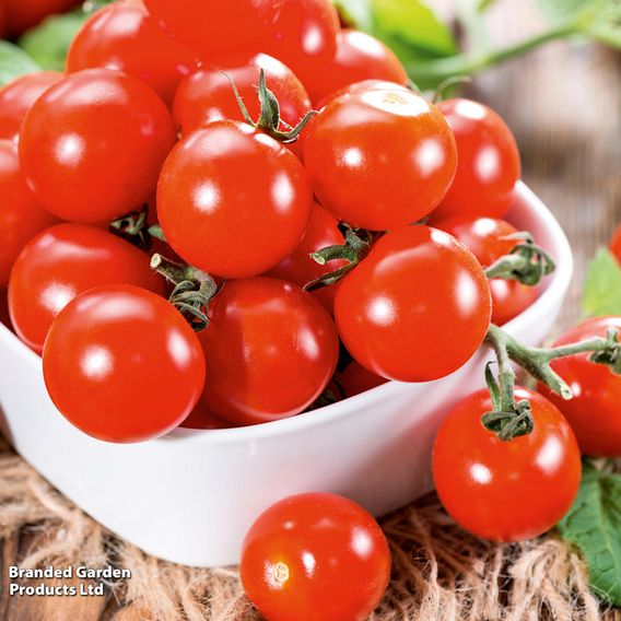 Tomato 'Crimson Cherry' (Indeterminate) F1 - Seeds