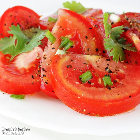 Tomato 'Crimson Crush' F1 (Indeterminate) - Seeds