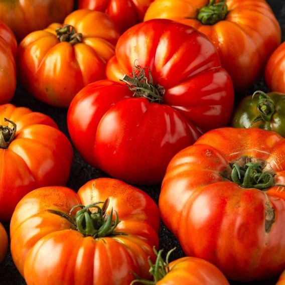 Tomato 'Mortgage Lifter' - Seeds