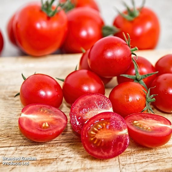 Tomato 'Rubylicious' F1 - Seeds