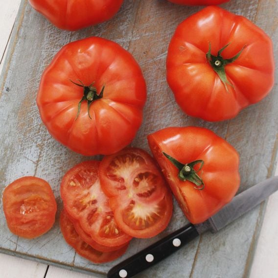 Tomato 'Rutger's 250' - Seeds